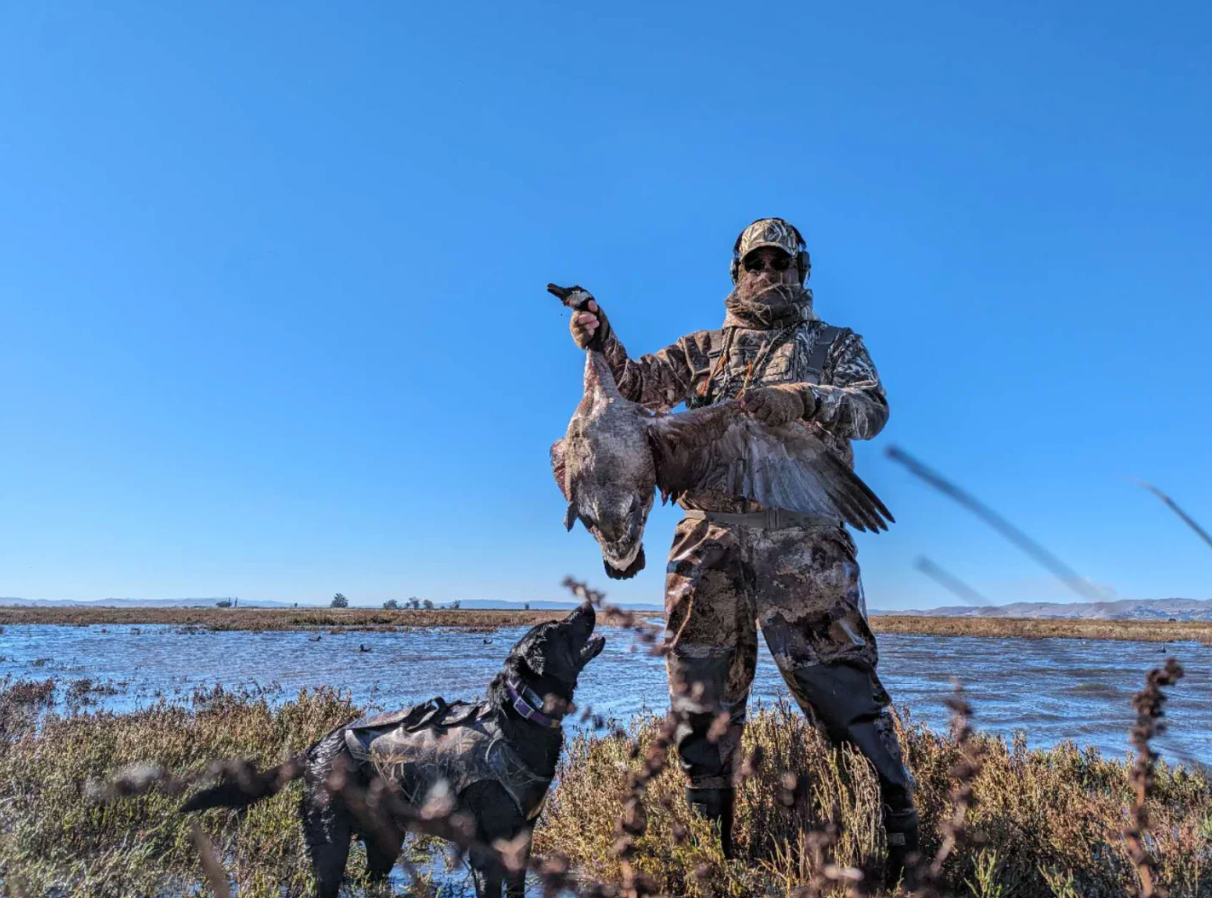 Insider Tips for Successful Mallard Hunting