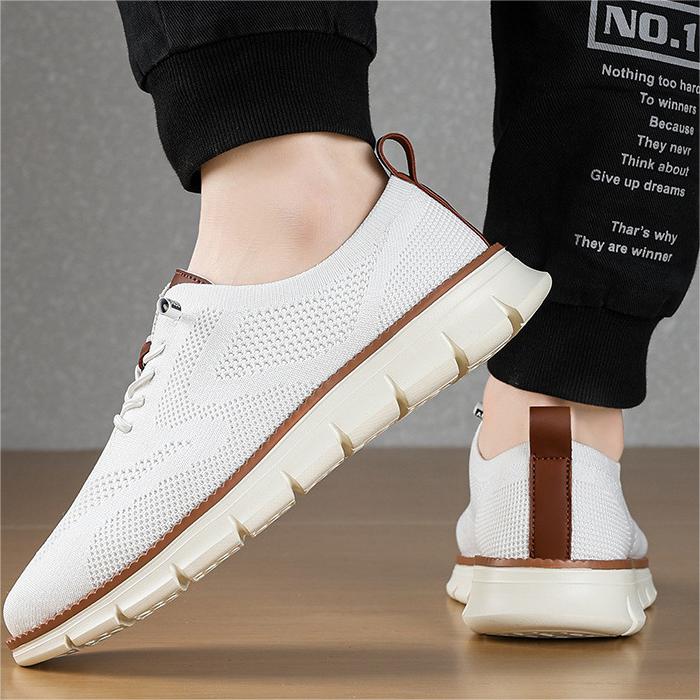 Wildking Men's Casual Lace-Up Breathable Mesh Loafers D3002