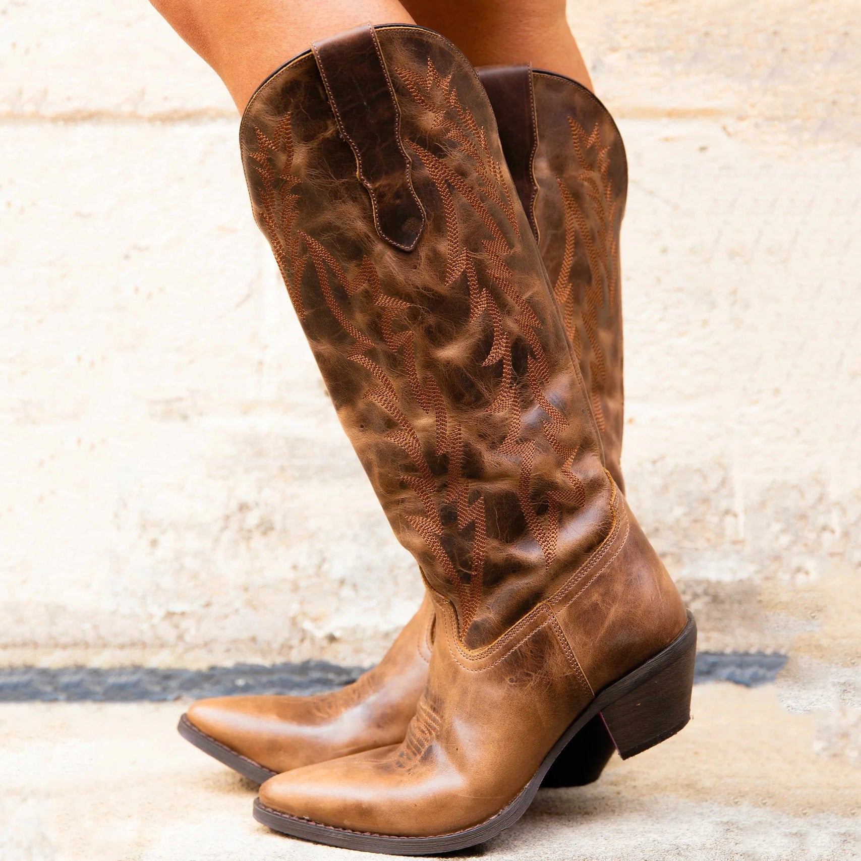 Wildking Women's Embroidered Pointed Toe Rider Boots – Block Heel Boots 2.0